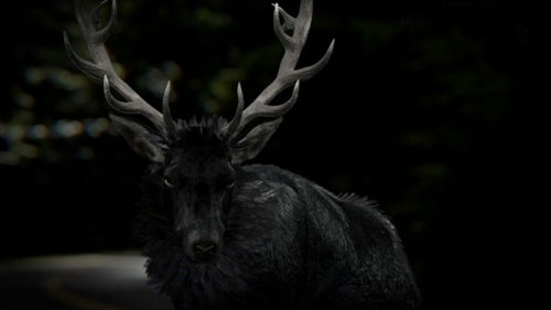 hannibal2-stag-in-the-hall